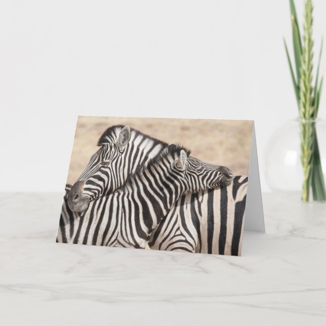 Burchell's Zebras-Hacking Karte (Vorderseite)