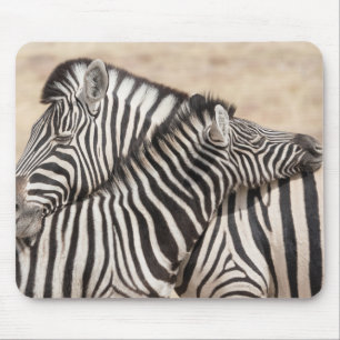 Burchell's Zebras Nick Mousepad