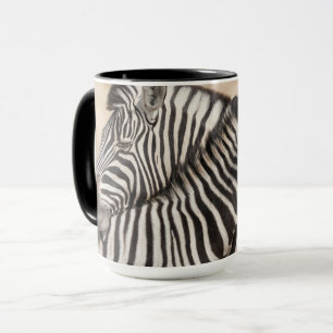 Burchell's Zebras Nick Tasse