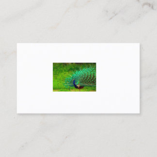 Bureau et école > Carte de visite