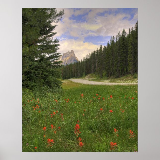 Burg Banff Poster (Vorne)