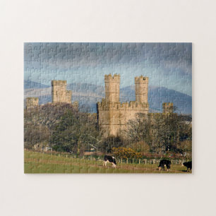 Burg Caernarfon in Wales