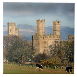 Burg Caernarfon Wales. Fliese
