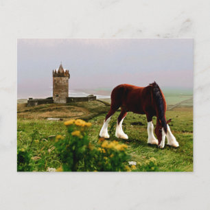 Burg Clydesdale Postkarte
