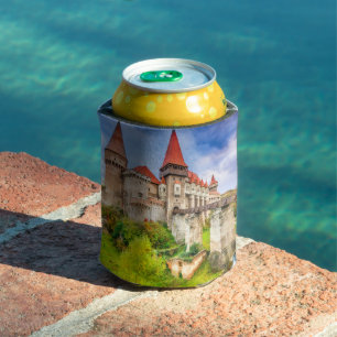 Burg Corvin Dosenkühler