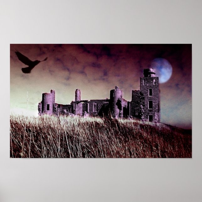 Burg Dracula Poster (Vorne)