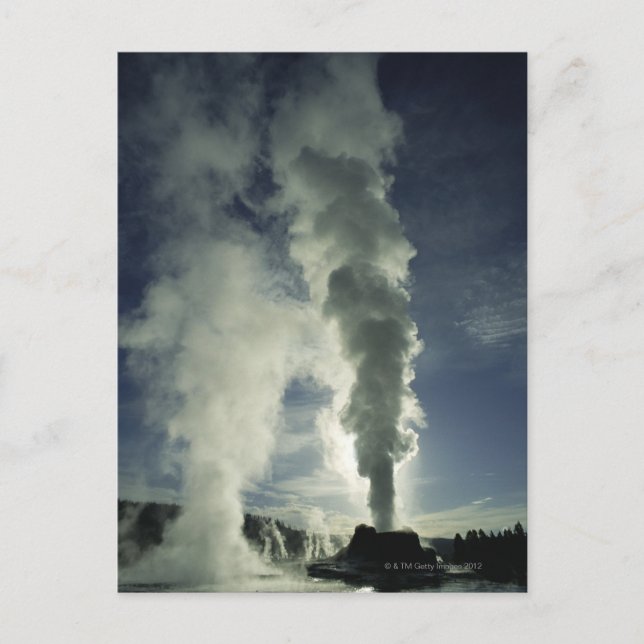 Burg Geyser,Yellowstone Nationalpark Postkarte (Vorderseite)