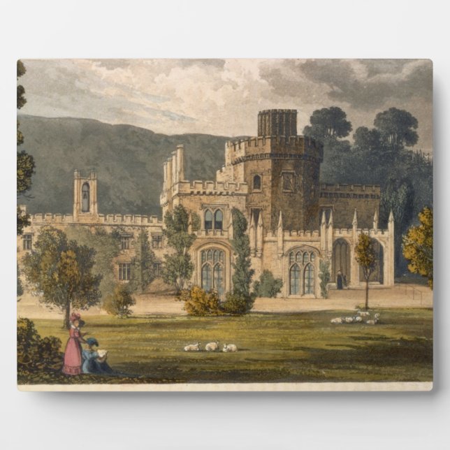 Burg Luscombe, Devon (Farbe litho) Fotoplatte (Vorderseite)