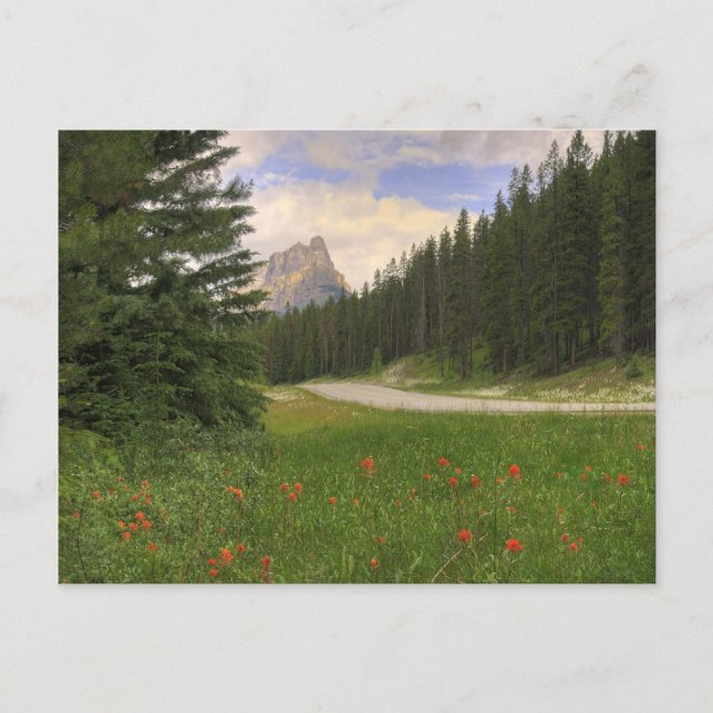 Burg Postkarte (Vorderseite)