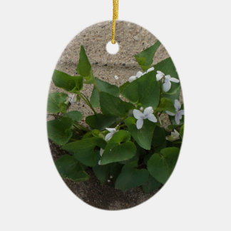 Bürgersteig-Blume Keramik Ornament