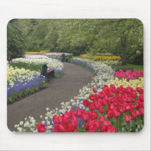Bürgersteig durch Tulpen, Narzissen und Mousepad