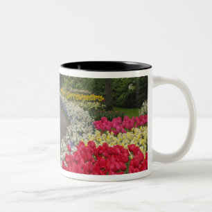 Bürgersteig durch Tulpen, Narzissen und Zweifarbige Tasse