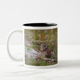 Burgschale Zweifarbige Tasse