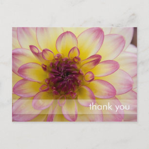 Burgund, Gelb und Weiß Dahlia Postkarte