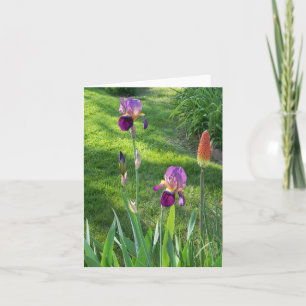 Burgund Iris... Karte