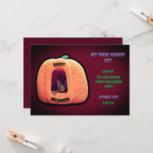 Burgund und Orange Pumpkin Spooky Kitten Einladung