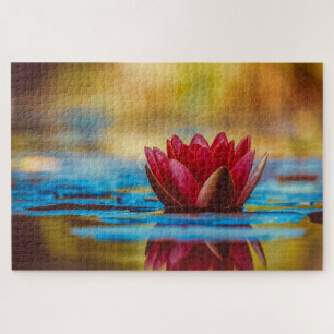 Burgund Wasserlilie und Reflektion
