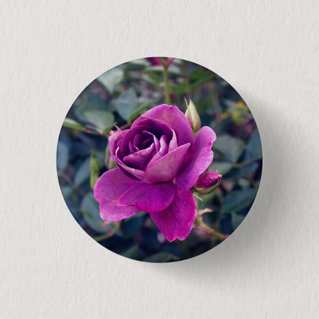 Burgundy Iceberg Rose #2 Button (Vorderseite)