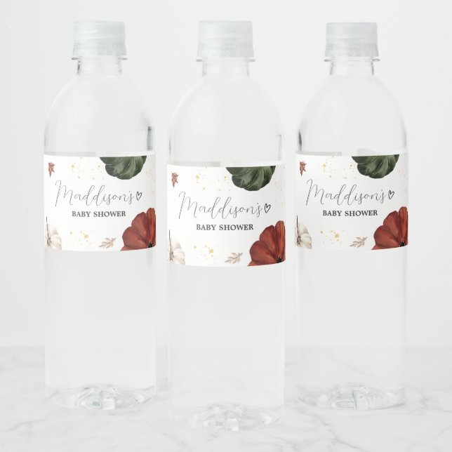 Burgundy Minimalist Autumn Pumpkin Baby Shower (Flaschen)