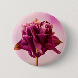 Burgundy Pink Columbine Button