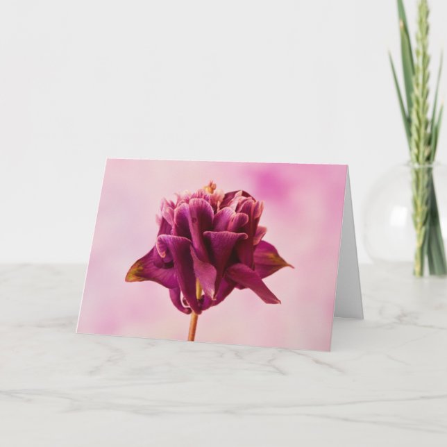 Burgundy Pink Columbine Karte (Vorderseite)