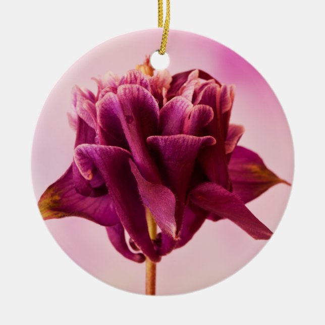 Burgundy Pink Columbine Keramik Ornament (Vorne)