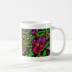 Burgundy Pink Lenten Rose Kaffeetasse