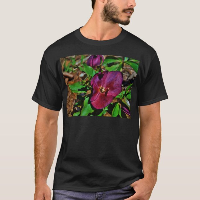 Burgundy Pink Lenten Rose T-Shirt (Vorderseite)