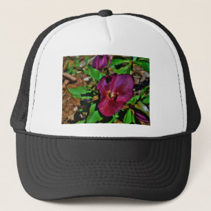 Burgundy Pink Lenten Rose Truckerkappe