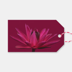 Burgundy Pink Water Lily Geschenketiketten Geschenkanhänger
