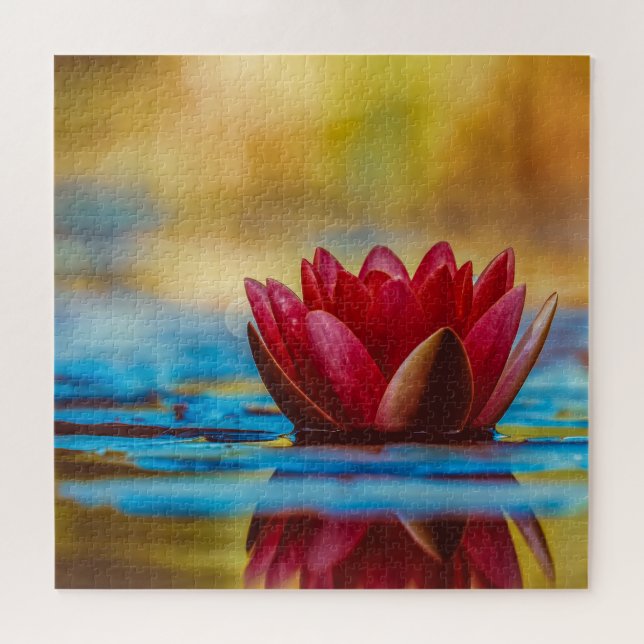 Burgundy Red Water Lily (Horizontal)