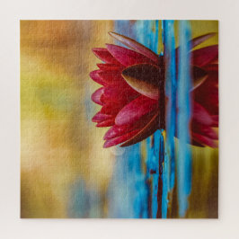 Burgundy Red Water Lily