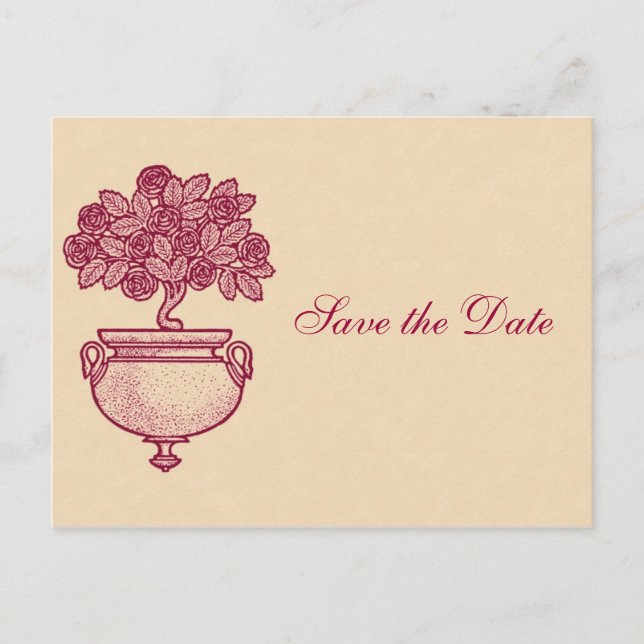 Burgundy Rosebush Save the Date auf Cream Postcard Ankündigungspostkarte (Vorderseite)