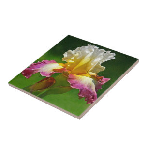 "BURGUNDY, YELLOW UND WHITE IRIS" TITEL FLIESE