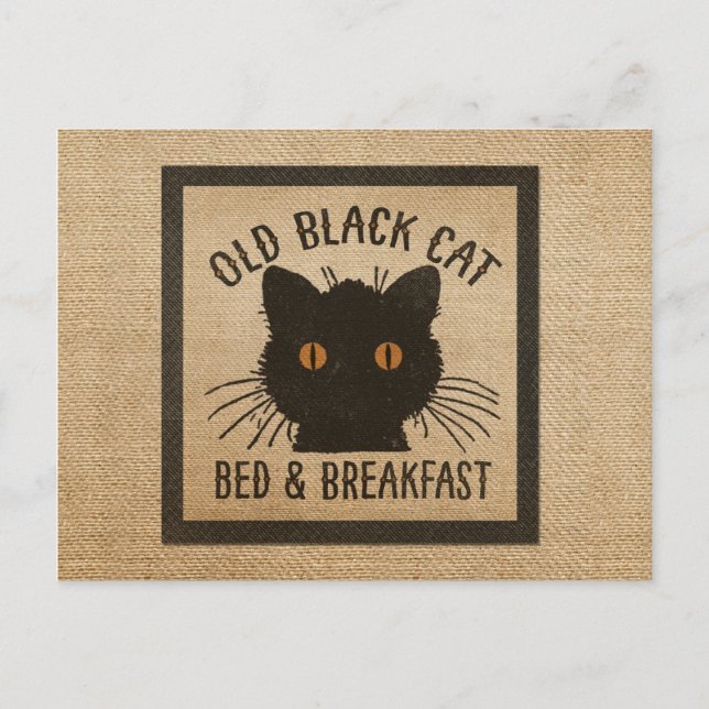 Burlap Old Black Cat Bed Breakfast Postkarte (Vorderseite)