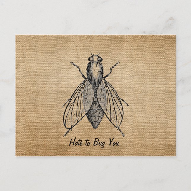 Burlap Vintag Hate zu Bug Sie Fliegen Postkarte (Vorderseite)