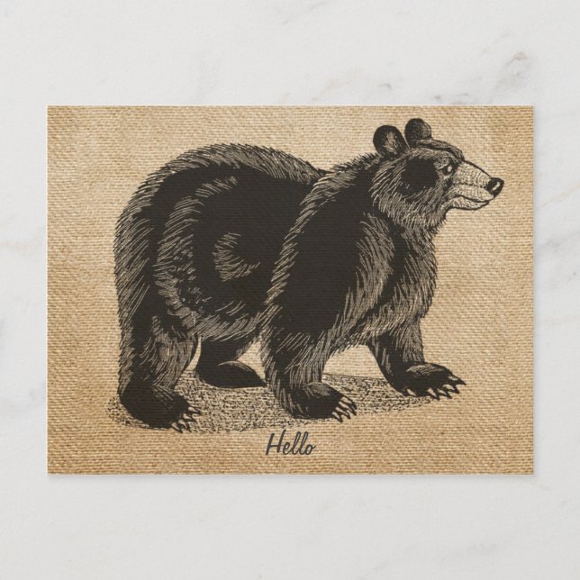 Burlap Vintag hello Bären Postkarte (Vorderseite)