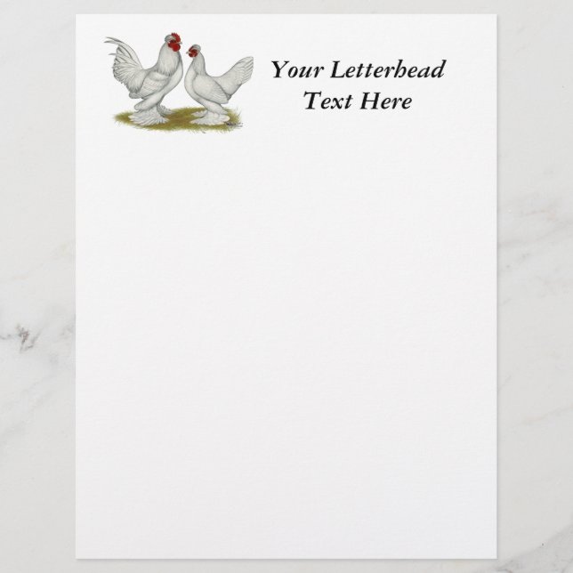 Burmese Bantams (Vorderseite)