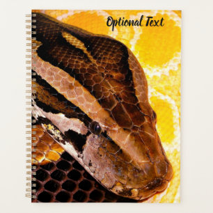 Burmese Python Snake Planer