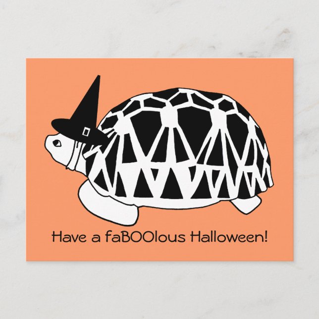Burmese Star Tortoise Hexenkarte Halloween (bw. Postkarte (Vorderseite)