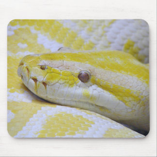 burmesische Python Mousepad