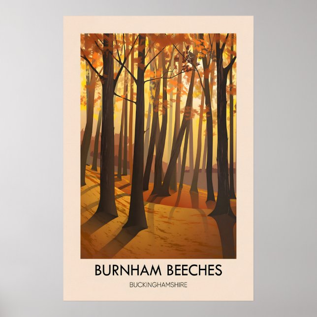 Burnham Beeches Travel Poster (Vorne)