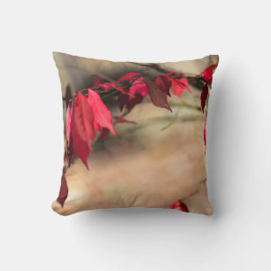 Burning Bush Autumn Foliage - Euonymus alatus Kissen