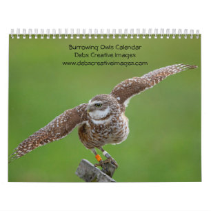 Burning Owl 2026 Kalender