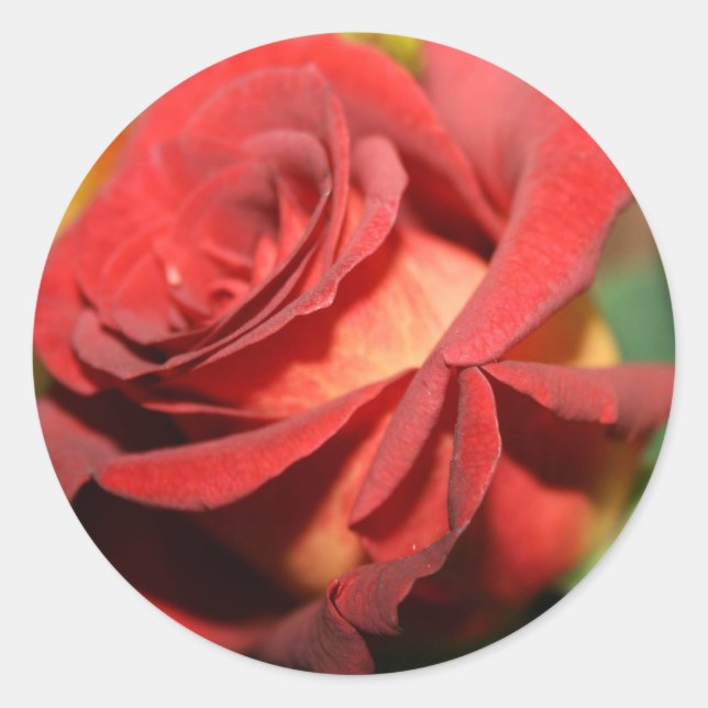 BURNT-ROSE-WEDDSCHALTER & UMSCHLAG AUFKLEBER (Vorderseite)