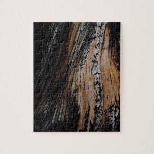 Burnt Tree Bark Texture