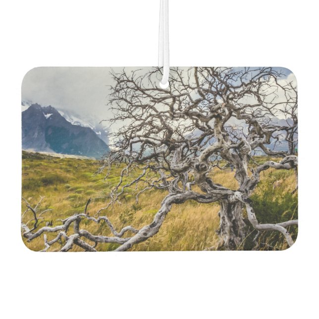 Burnt tree, Torres del Paine, Chile Autolufterfrischer (Vorderseite)