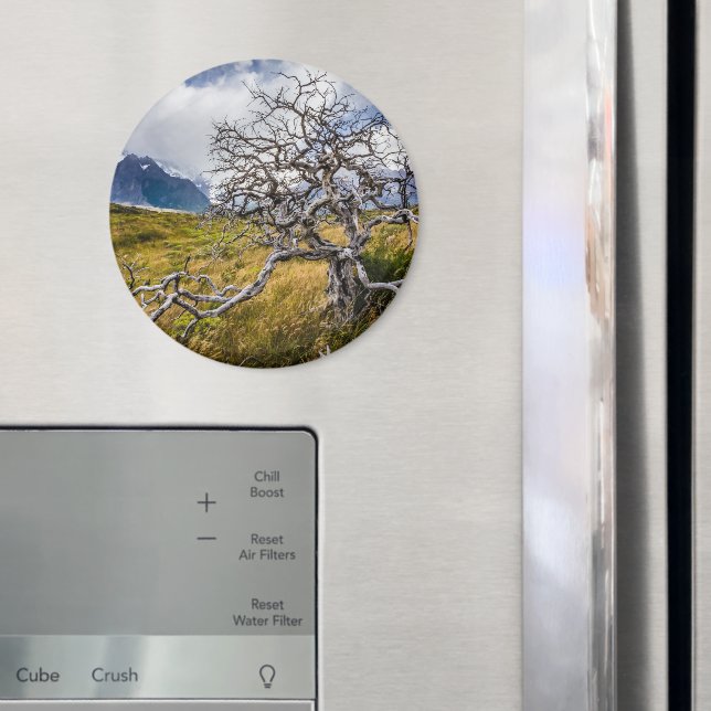 Burnt tree, Torres del Paine, Chile Magnet (In Situ (Kühlschrank))