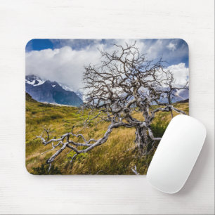 Burnt tree, Torres del Paine, Chile Mousepad
