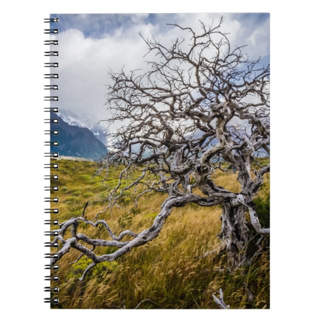Burnt tree, Torres del Paine, Chile Notizblock (Vorderseite)